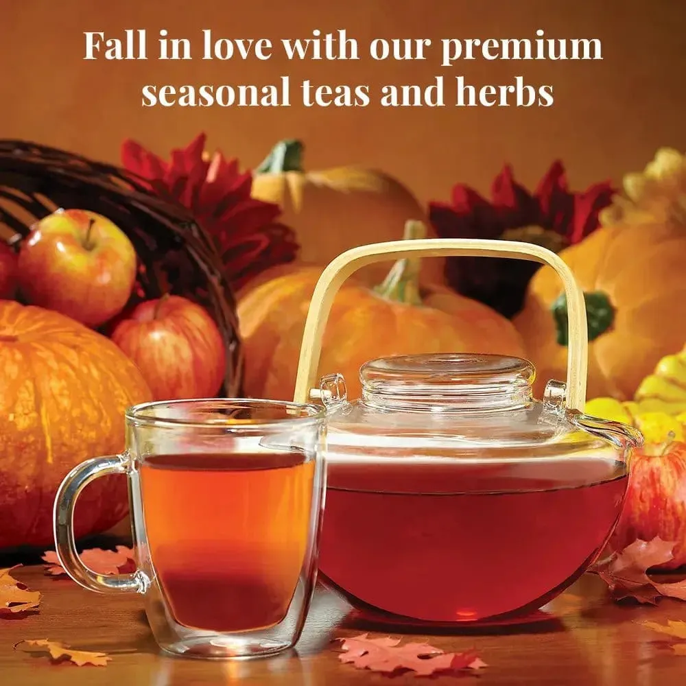 🍁 Pumpkin Spice Black Tea Bags 🍁 - Tin 50 Tea Bags