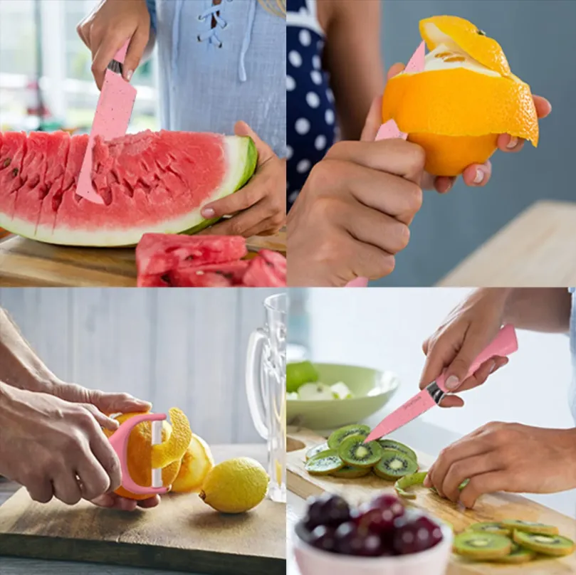 6-Pcs Stainless Steel Kitchen Knife Set Tgs-049-18