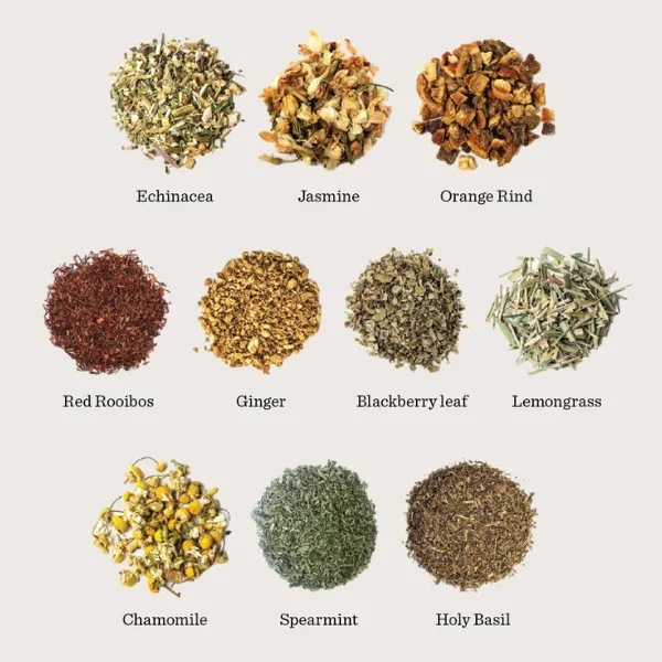 Healing Honeysuckle Tea Bags