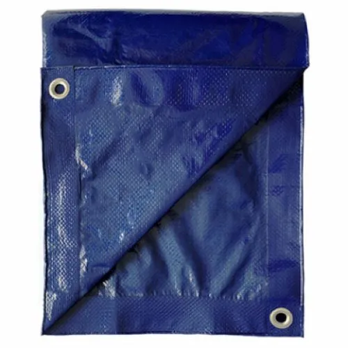 ITM MD-GT-BB-0810 8' x 10' Blue Polyethylene Storage Tarp Cover - Quantity of 2