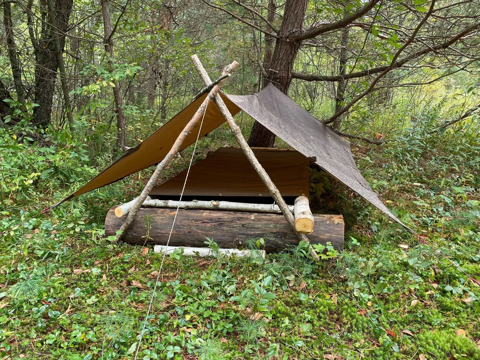Tentsmiths Oilskin Tarp with Reinforced Center Loop